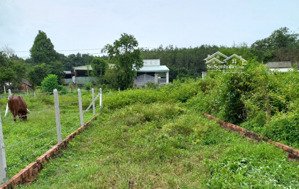 cần tiền gấp! chủ bán đất 97m2, 560tr, đường nhuận đức, nhuận đức, củ chi.shr