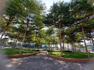 hiếm còn sót lại_ căn hộ 02 pn_ trần quý kiên_ tt cầu giấy