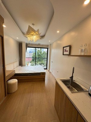 nhà mặt phố trung tâm - dòng tiền- homestay ổn định- 16,8 tỷ