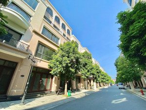 bán gấp liền kề cọ xanh 62,5m² thô, gần trường & công viên, giá 9 tỷ sổ đỏ, vinhomes ocean park 2