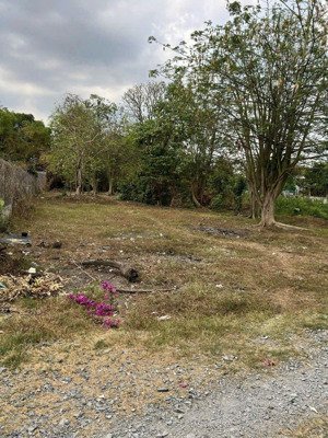 bán đất xã tân thông hội, dt=16x47=769m, có 300m thổ cư, gần càu an sương, giá chỉ 6,2 tỷ