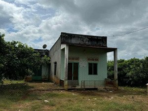 bán đất nhà vườn hơn 3500m2(65*52) sẵn 300tc,shr 780tr, bình phước