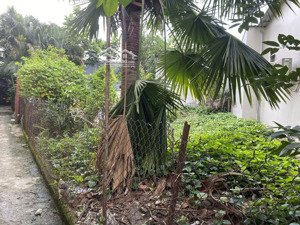 bán đất cln hẻm nguyễn thị định - an phú - quận 2 - đất trống