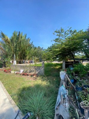 bán gấp lô đất nền 2 mặt tiền ngang 8m đường nhựa 6m lê văn lương giá nhỉnh 6 tỷ - view sông