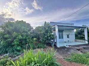 cần tiền bán gấp nhà vườn gần 7000m2 sẵn 100m2 tc, giá bán nhanh 220tr shr bình phước