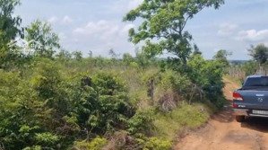 bán 1364m2 đất vườn hồng liêm 359tr, cách ql1a 800m, mặt tiền 17m đường ô tô tận nơi lh 