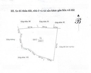 ngân hàng bán đấu giá 1500m2 đất ở, tặng nhà sàn mới xây tại vân am ngọc lặc