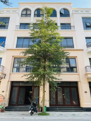 giá rẻ nhất thị trường. hải âu 65m2 vin2. vị trí đẹp