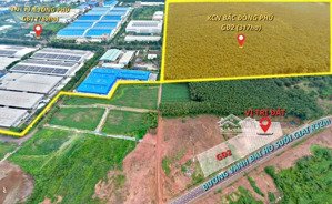 chính chủ bán đất mặt tiền đường nhựa 32m, đối diện khu công nghiệp bắc đồng phú, tỉnh đồng nai