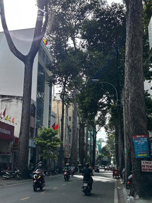 cc gả gấp em siêu phẩm mặt tiền trần quang khải, tân định, quận 1