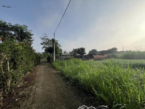 bán đất bình ba - đá bạc, giá siêu đầu tư 550 triệu, 128.2 m2 (có sẵn 80m2 thổ cư)