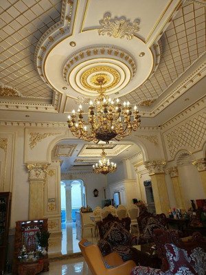 bán villa bành văn trân 324.9m² 6 tầng - 66 tỷ - biệt thự hồ bơi