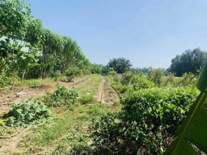 cần bán gấp đất thổ cư phường phước tân tp bắc tân uyên bình dương