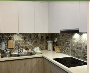 chính chủ bán căn 2n aqua bay ecopark dt 58m2, ban công đông nam, full nội thất. lh 