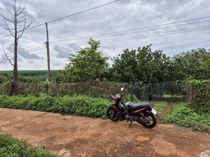 3,7 sào đất đỏ (75m mặt tiền bê tông) giá rẻ lộc ninh - bình phước