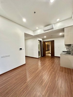 bán căn hộ 1pn + view nội khu thoáng giá tốt nhất phân khu masteri h2