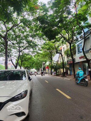 đất mặt phố vũ tông phan 1112m2 x mt 12m nở hậu vuông đẹp 205 tỷ, lô góc view sông, giá đầu tư