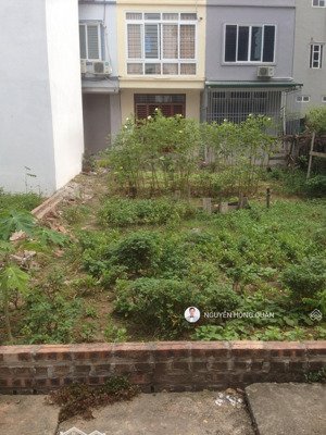 bán đất tại đường phương canh, 60m2, mặt tiền 3,75m, nam từ liêm, hà nội.