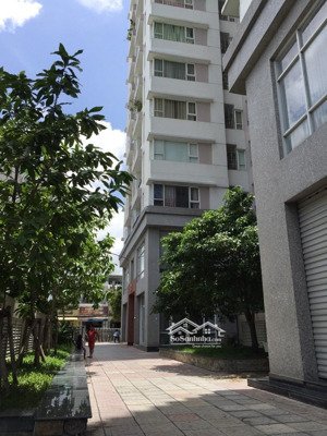 cho thuê căn hộ quang thái gần đầm sen dt 90m2 3pn 2wc giá 9 triệu full nội thất