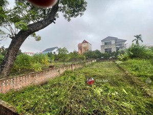 chính chủ cần thanh khoản lô đất 112m full thổ cư tại thanh lâm - mê linh giá chỉ 3x tiêu học