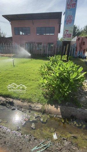 bán đất 10 hecta view biển hồ tràm xuyên mộc, bà rịa vũng tàu, chỉ với 1000 tỷ