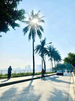 chính chủ cần bán đất ô tô tránh - thông võng thị, trích sài, tây hồ. 170m, 47tỷ.