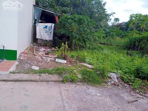 BÁN ĐẤT ĐẤU GIÁ MY HẠ ĐỐI DIỆN VƯỜN HOA GẦN BỆNH VIỆN