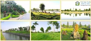 Biệt thự The Phoenix Garden cạnh Vinhomes Đan Phượng giá 9x tr/m2