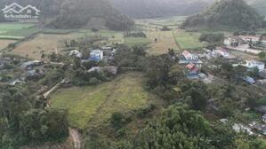  CHỐT NGAY SIÊU PHẨM NGHỈ DƯỠNG – THUNG MƯỜNG TÚ SƠN, KIM BÔI 