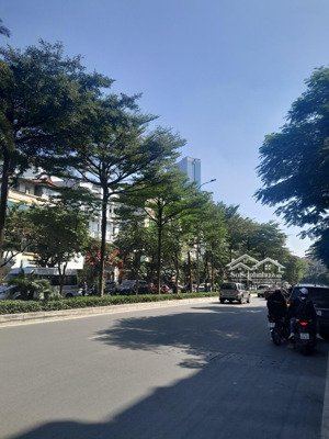 bán nhà mặt phố liễu giai, 132 tỷ, 100m2, view đẹp, giá tốt