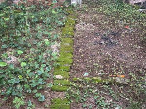 bán 192m2 đất đẹp đường phương canh gần ôtô tránh 400m ra cđ fpt. bao giá