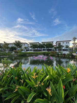 cđt la vida vũng tàu có căn nhà phố liền kề hướng đông nam