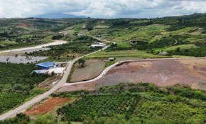 bán đất nền đầu tư nghỉ dưỡng tại tân hà lâm hà ven đà lạt 630 triệu 1000m² 100mtc sổ riêng