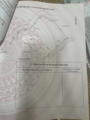 chủ kẹt tiền cần bán 2.2ha đất cao su 4 năm - 100m mặt tiền đường nhựa 6m