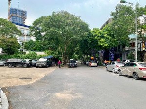 siêu phẩm lô góc- kinh doanh- vị trí đắc địa - view vườn hoa. 218m2,mặt tiền 26m. giá 105tỷ