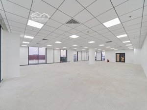 cho thuê văn phòng building trần thái tông | diện tích linh hoạt 128m² 231m²