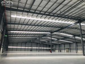 Cho Thuê Kho Xưởng 6.000m2 - 12.000m2, Cụm Cn Hiệp Thành, Long An, Tây Ninh, Pccc Tự động