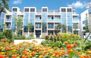 bán shophouse viglacera ô cách 99m² x 4 tầng, mặt tiền 5.5m cho thuê 20-30tr/tháng, 5 tỷ tl