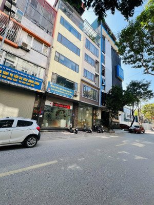 mặt phố nguyễn khả trạc - cầu giấy - 69m2 - 7t - mt 5m - hiếm nhà bán - kinh doanh sầm uất ngày đêm
