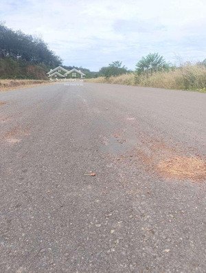 kẹt tiền sang gấp 322m2 đất mt 32m ngay kcn hoạt động hiện hữu, sát chợ dân đông. giá 320triệu