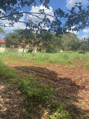 ngộp bank cần bán gấp thửa đất 315, tờ bản đồ 2 tại thị trấn long giao, huyện cẩm mỹ, tỉnh đồng nai