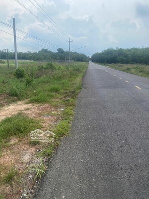 ngộp bank cần bán gấp thửa đất 1149, tờ bản đồ 21 tại xã an lập, huyện dầu tiếng, tỉnh bình dương