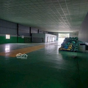 cho thuê kho, nhà xưởng, đất tại đường 1, tân phước khánh, tân uyên, bình dương, 70 triệu, 1000m2
