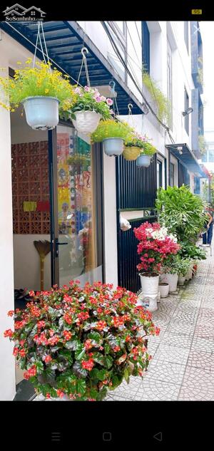 Hàng hot TT HẢI CHÂU, nhà 3 tầng kiệt oto đường Đống Đa, giá chỉ 5 tỷ.