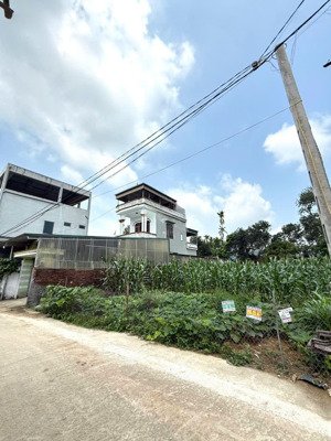 chính chủ cần bán nhanh lô đất xây nhà vườn tại hoà lạc giá rẻ