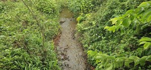 bán 5000m2 giáp suối hơn 100m, chỉ 2.5 tỉ