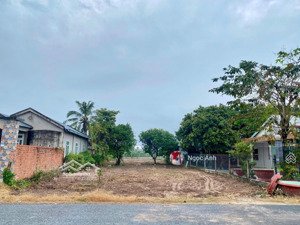 chú năm cần bán gấp lô đất 94,5m² giá 700 triệu an tịnh, trảng bàng!