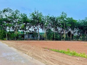 bán đất đẹp tại long tân, phú riềng, bình phước, 300 triệu, 260 m2