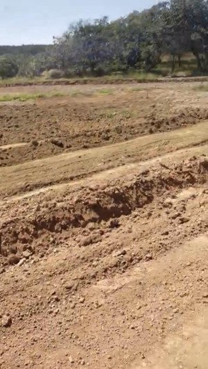 chủ cần ra gấp 4 miếng sổ đỏ đất tân lợi tiềm năng từ 1000m2, 1029.7m2, 1044.9m2, từ 400tr