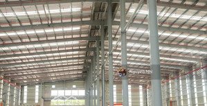 a019 - cho thuê nhà xưởng kcn giầu dây, thống nhất, đồng nai. dt đa dạng, lh 